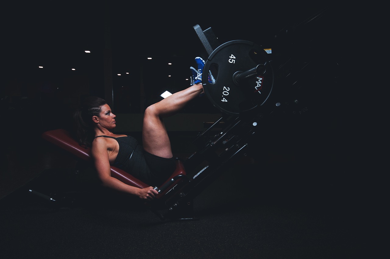 muscles